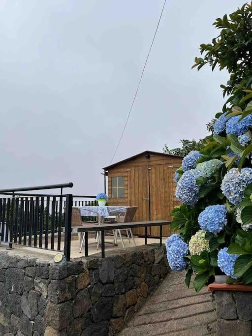 La Casita De La Pared Apartment Санта Крус де Тенерифе Екстериор снимка